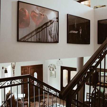 Forrest Bed and Breakfast Polanica-Zdrój Εξωτερικό φωτογραφία
