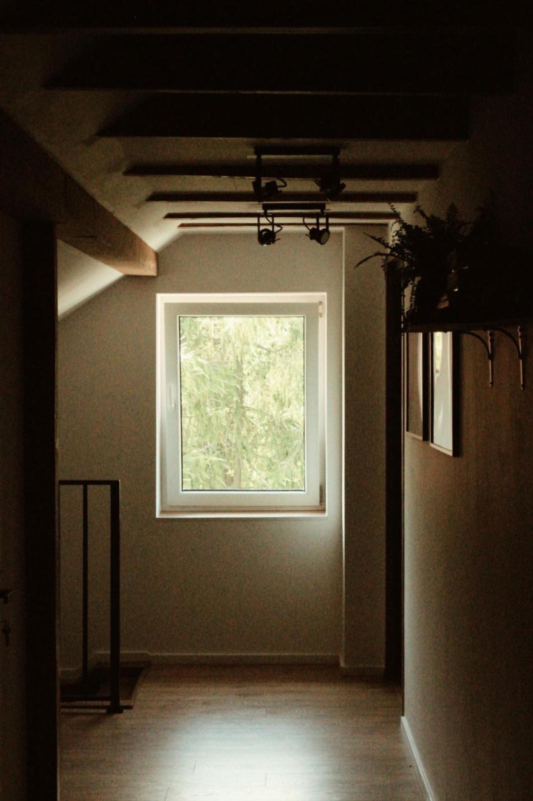 Forrest Bed and Breakfast Polanica-Zdrój Εξωτερικό φωτογραφία